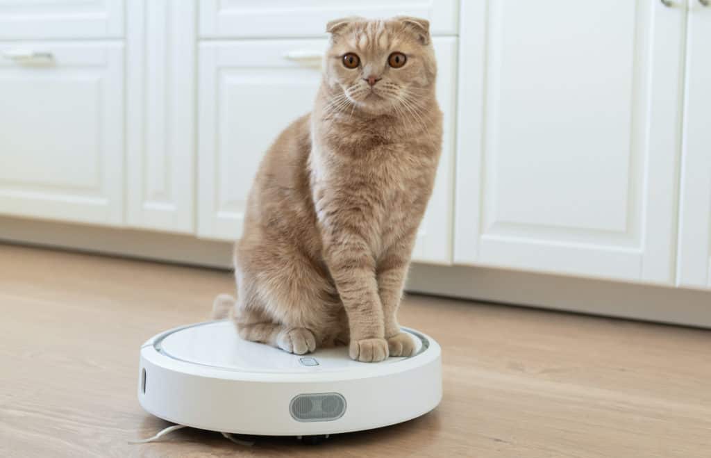 The Best Roomba For Cat Litter Pets Gal