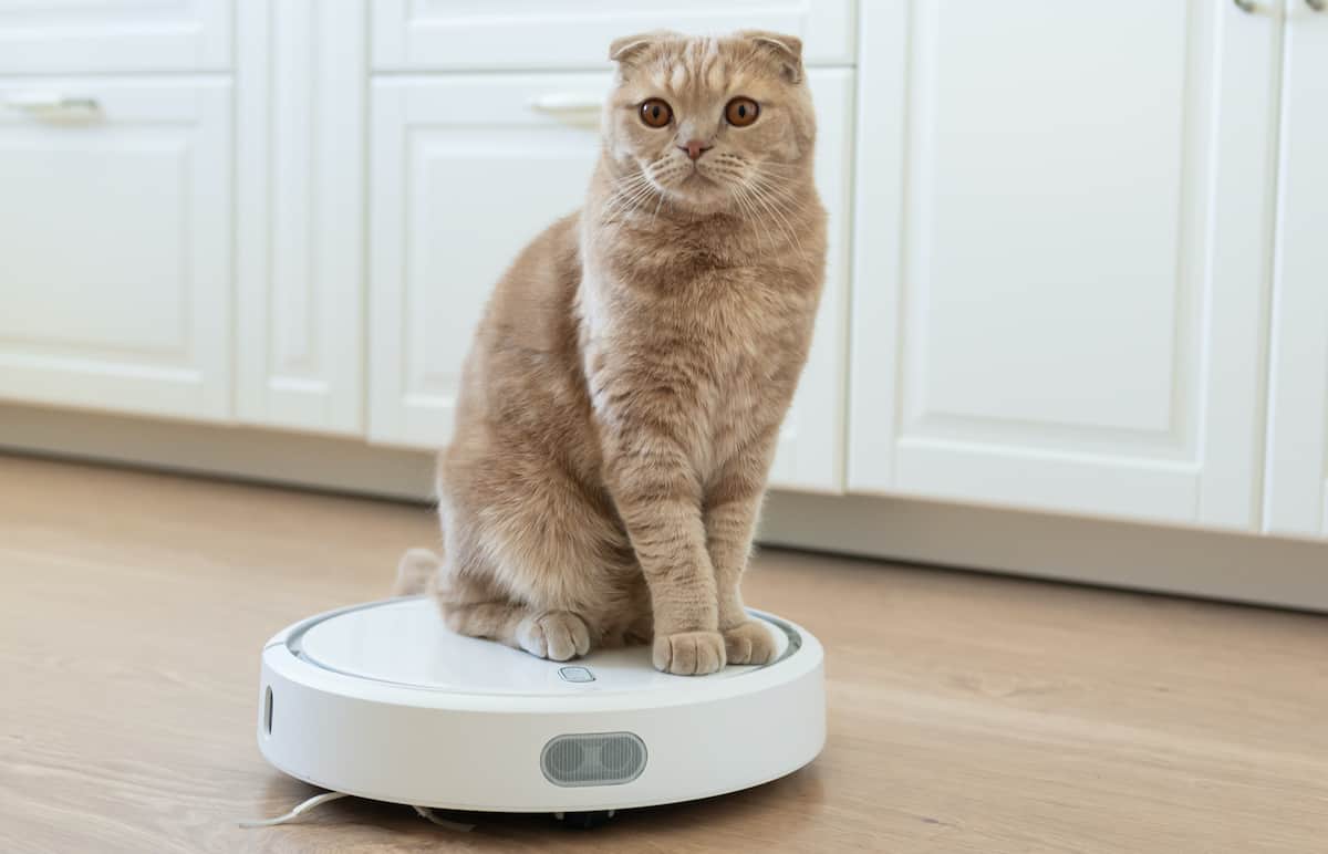 The Best Roomba For Cat Litter Pets Gal
