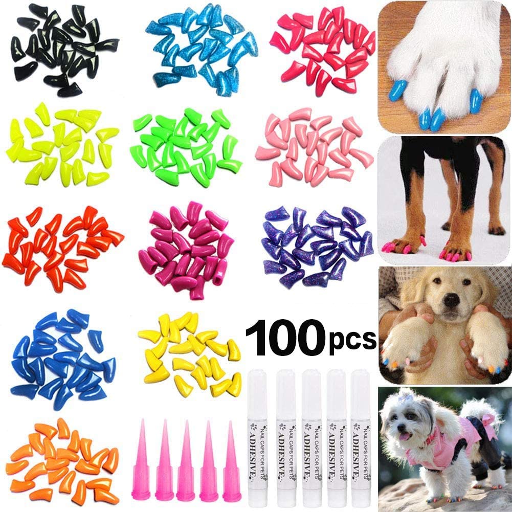 7 Best Nail Caps For Dogs In 2022 Pets Gal
