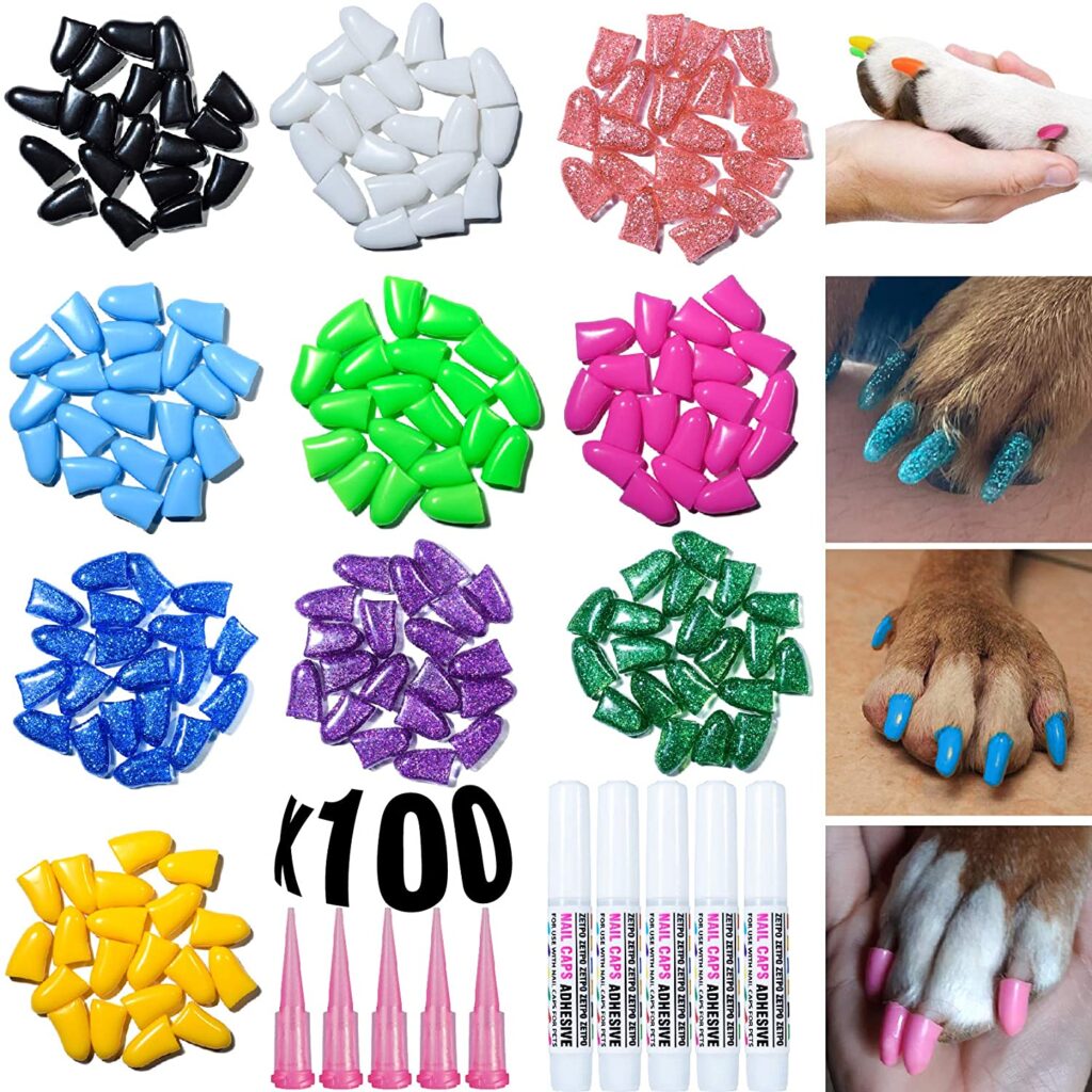 7 Best Nail Caps For Dogs In 2022 Pets Gal