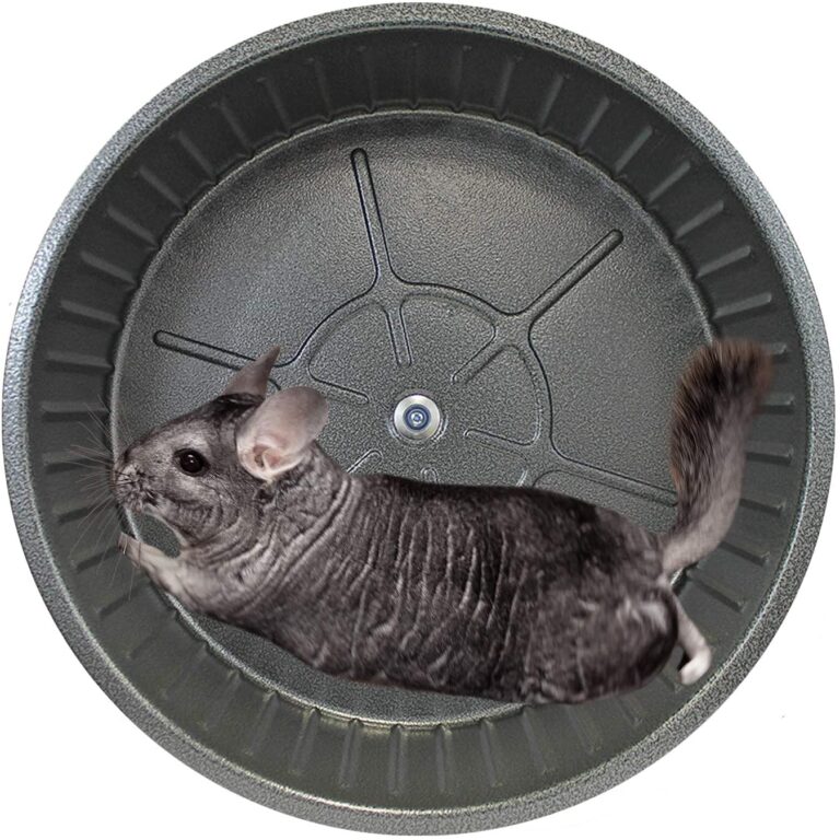 3 Best Silent Chinchilla Wheels Pets Gal