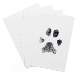 Best Paw Print - And You Need Them! - Pets Gal