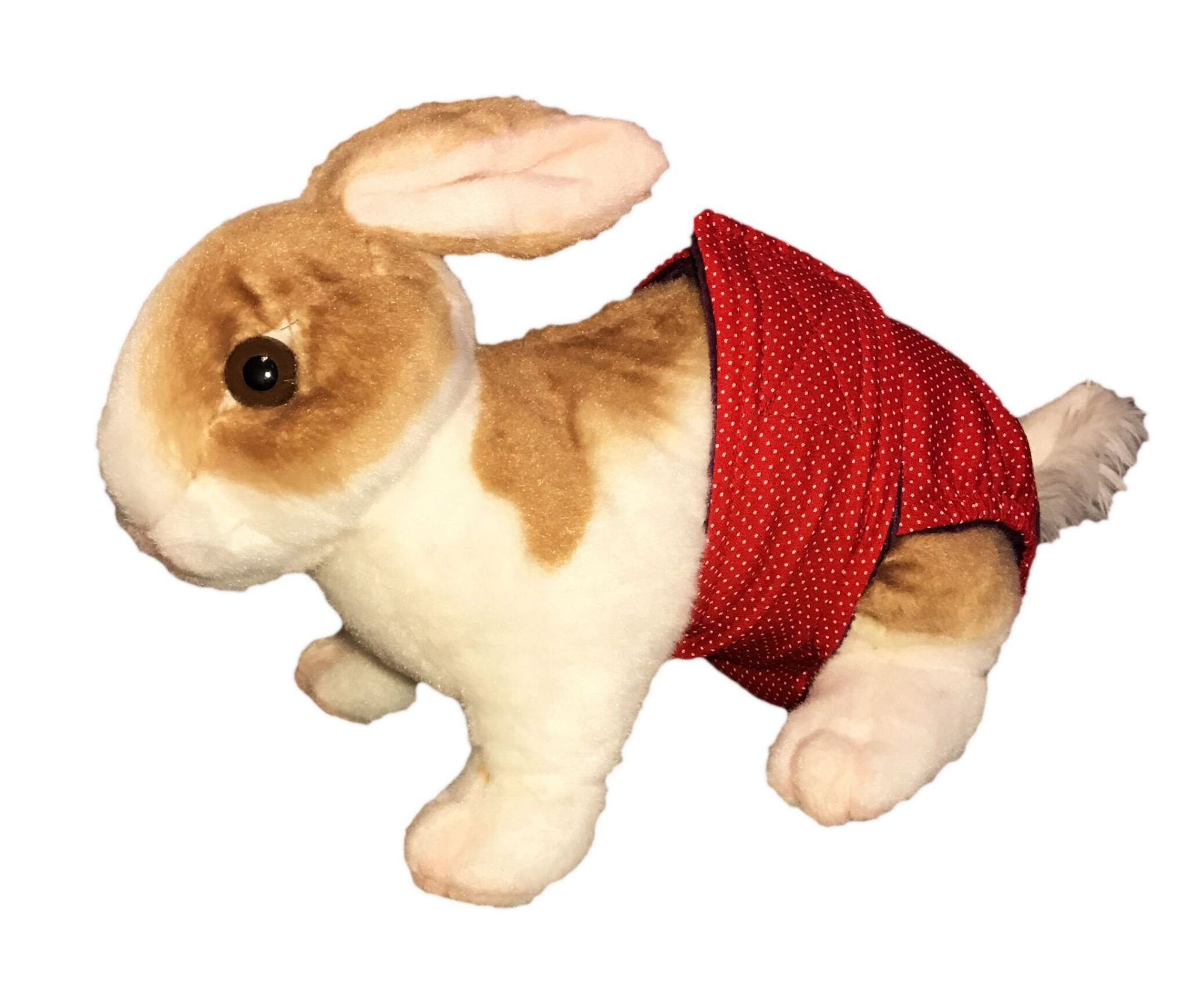 6 Best Rabbit Diapers Pets Gal